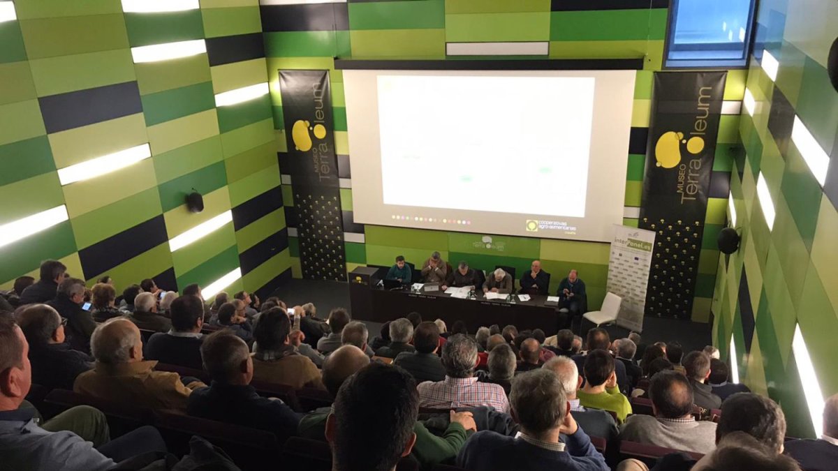 Almazaras de toda Andalucía se reunieron ayer en Mengíbar (Jaén) en un nuevo Consejo Sectorial de Aceite de Oliva.