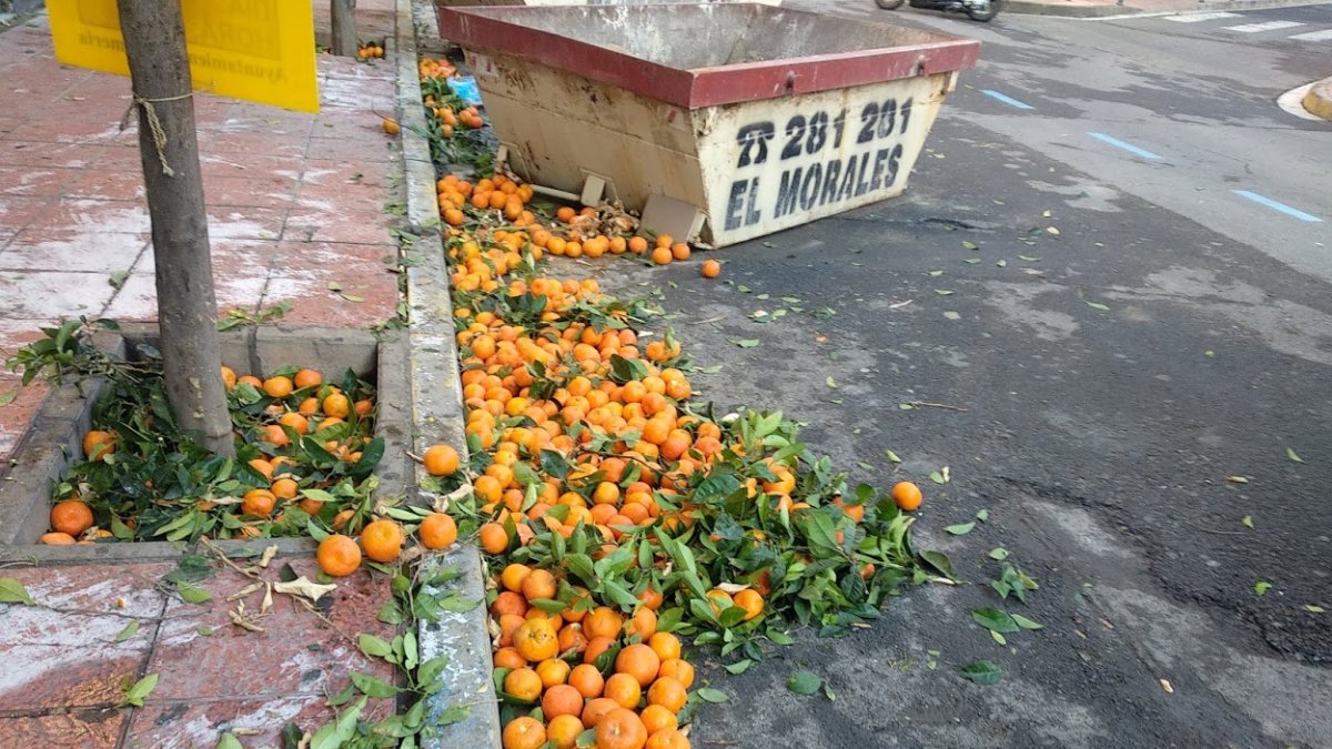 Naranjas en la calle Soldado Español.