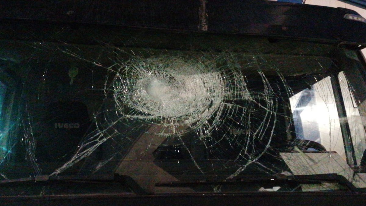 Luna rota por una pedrada.