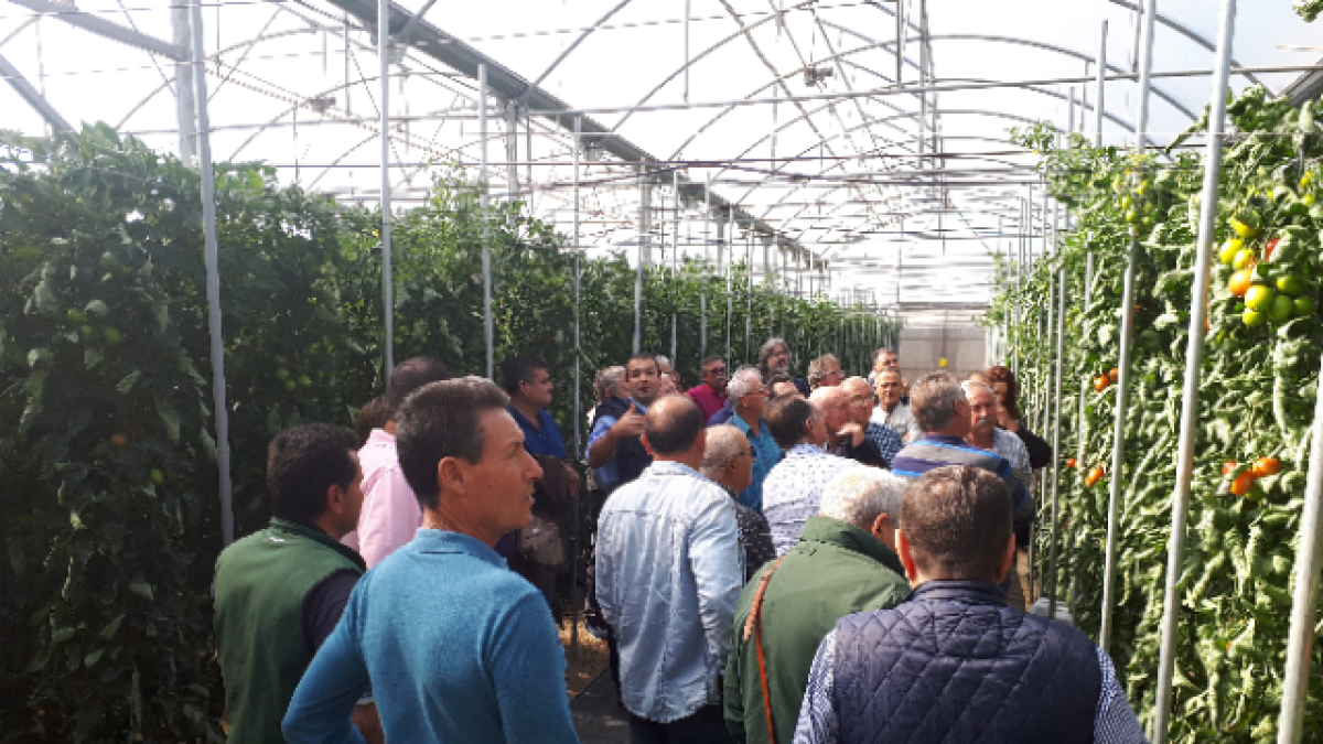 La jornada finalizó con una visita a los invernaderos de ensayo.