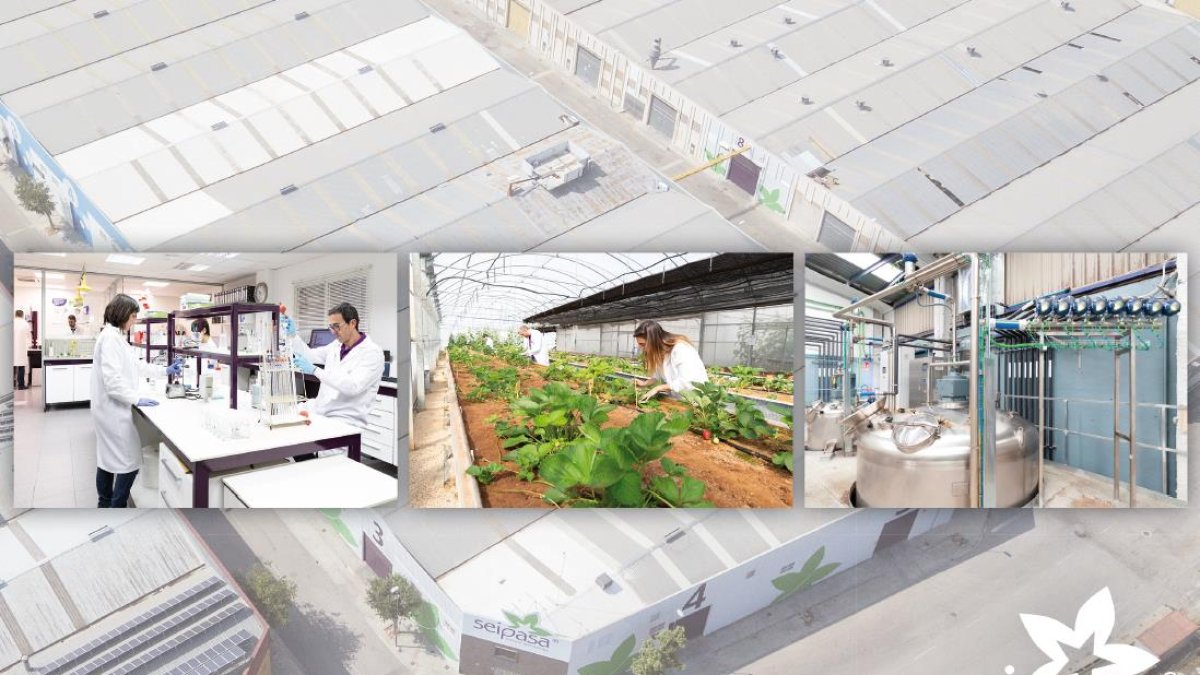Laboratorio, centro experimental y planta de producción de Seipasa en Valencia.