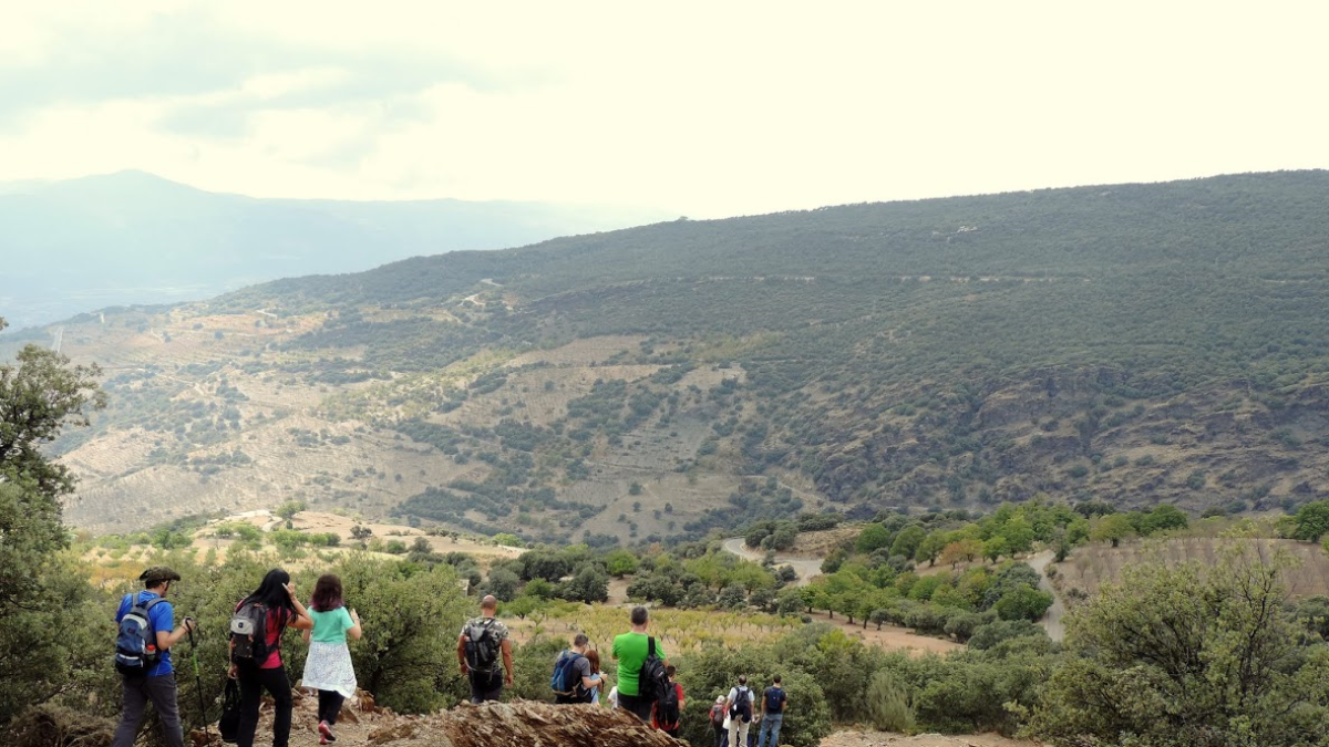 No te pierdas esta actividad que organiza el Patronato.