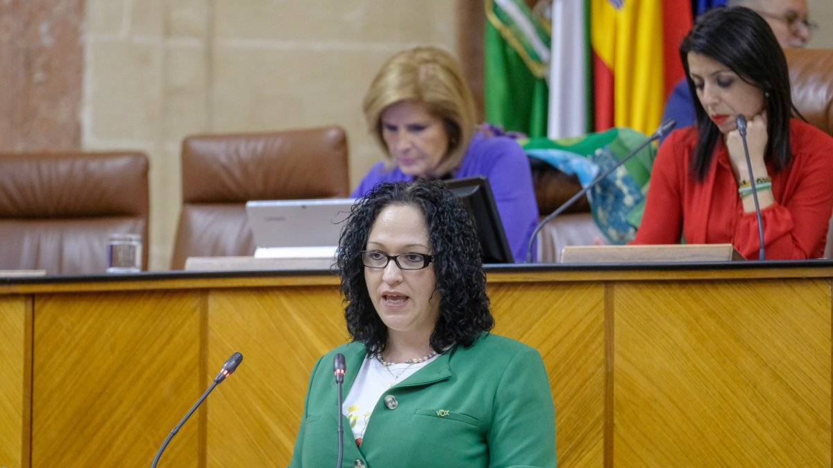 Rodríguez, en su etapa de parlamentaria de Vox.