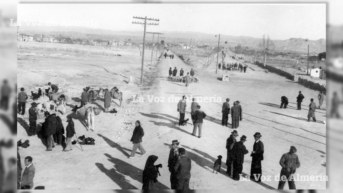 Mercado de ganados que se celebraba en la localidad de Huércal Overa en los años de la posguerra.