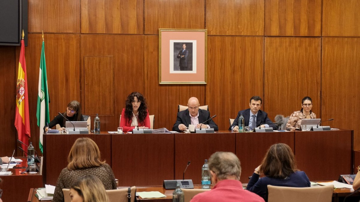 Un momento en la Comisión de Igualdad de este jueves en el Parlamento andaluz.