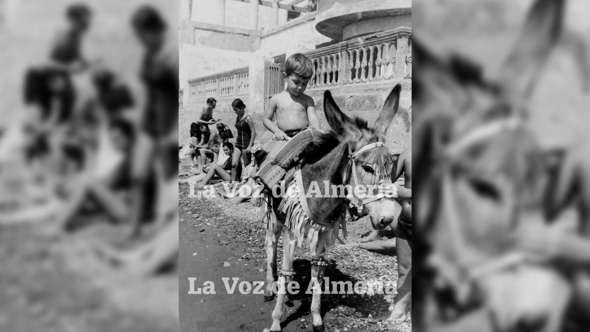 Los domingos pasaba por las playas el fotógrafo ambulante con su burro de carne y hueso.