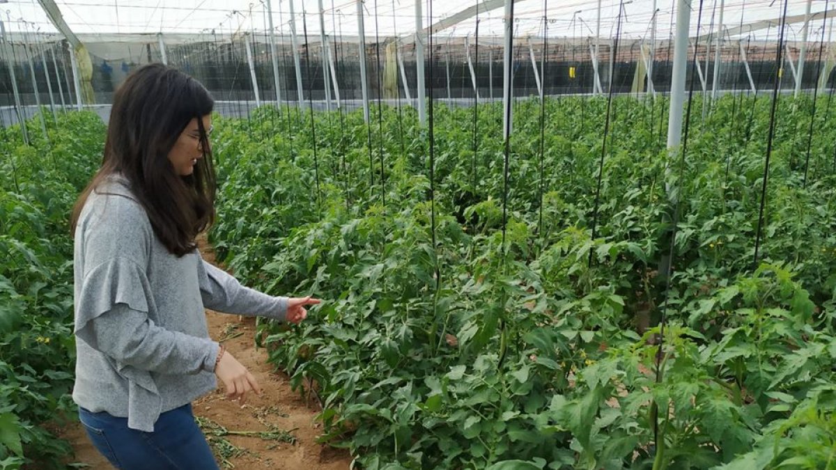 Gema Pérez, de I+D+i de Vellsam, en la finca en la que se está llevando a cabo el ensayo.