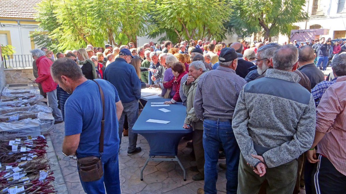 Éxito de participación en la jornada donde se entregaron 1.200 parras.