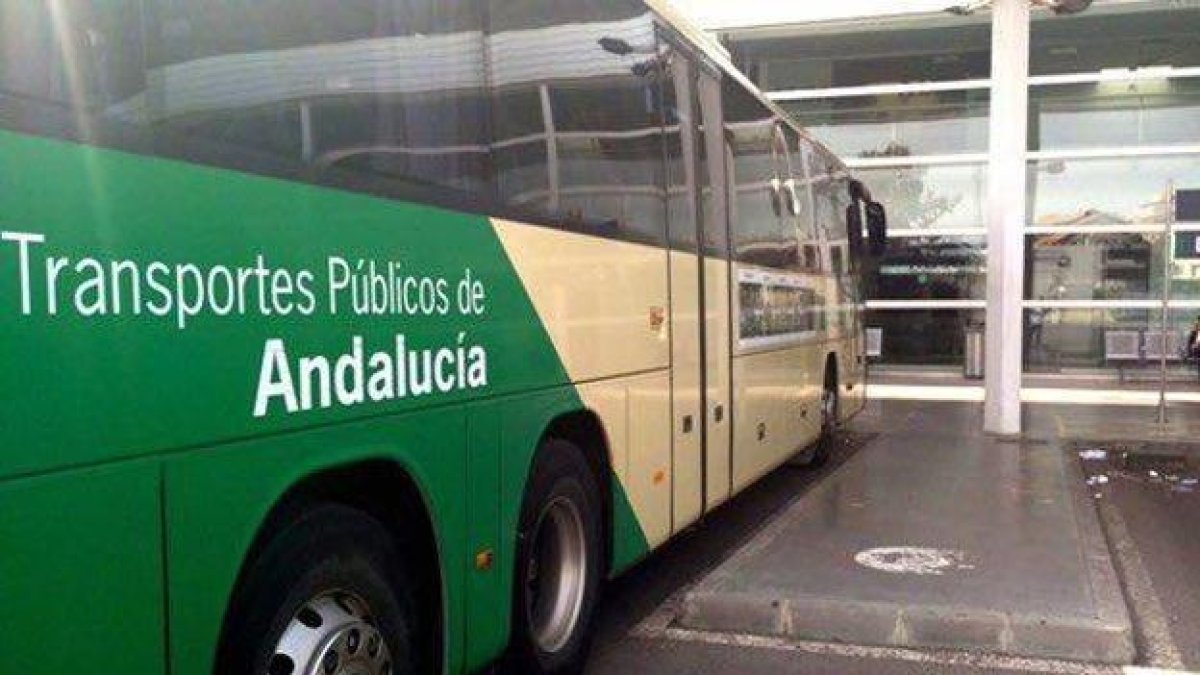 Nuevo servicio del Consorcio de Transportes Metropolitano.