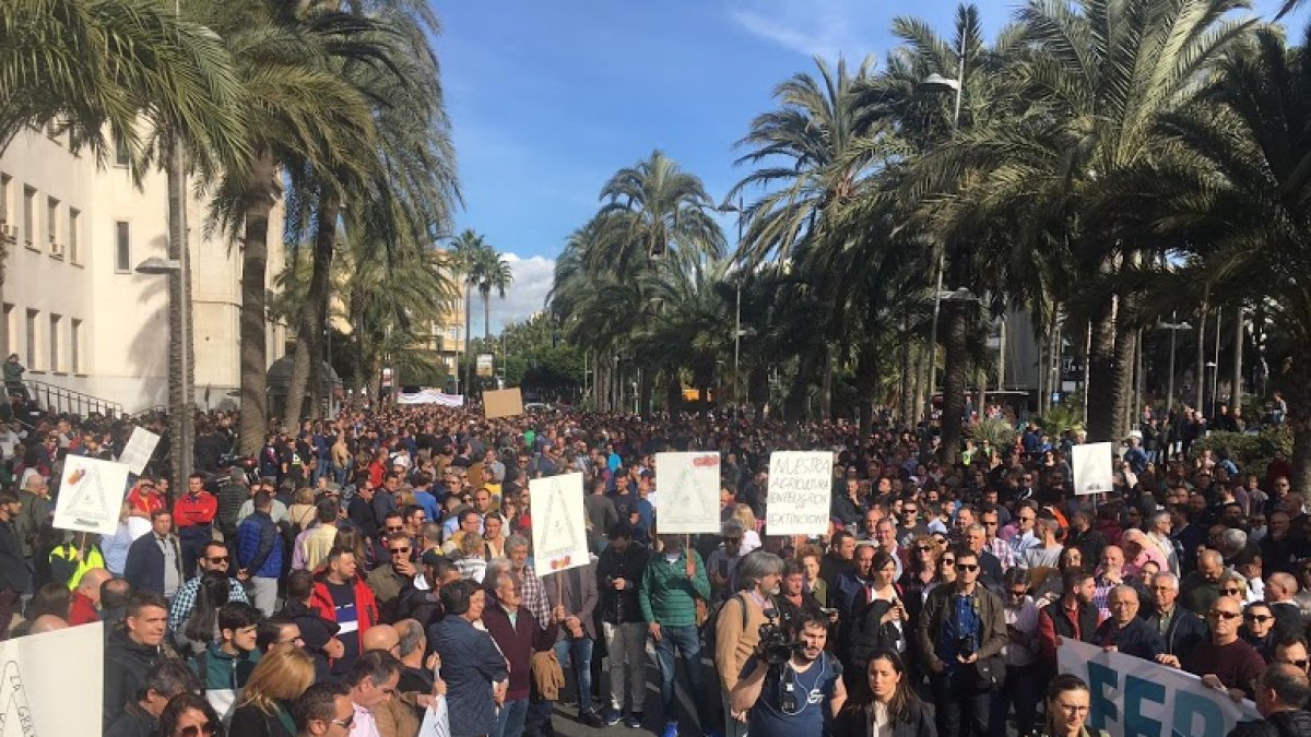 Imagen de la manifestación del pasado 19 de noviembre.