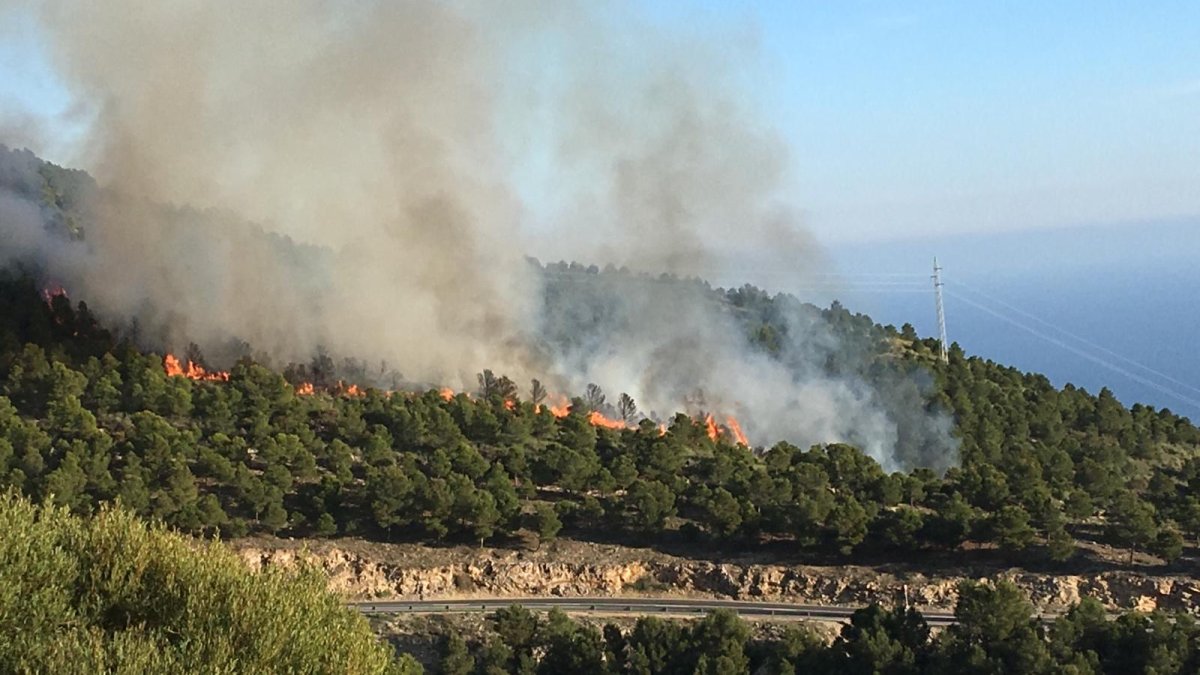 Uno de los incendios que ha habido recientemente en el municipio.