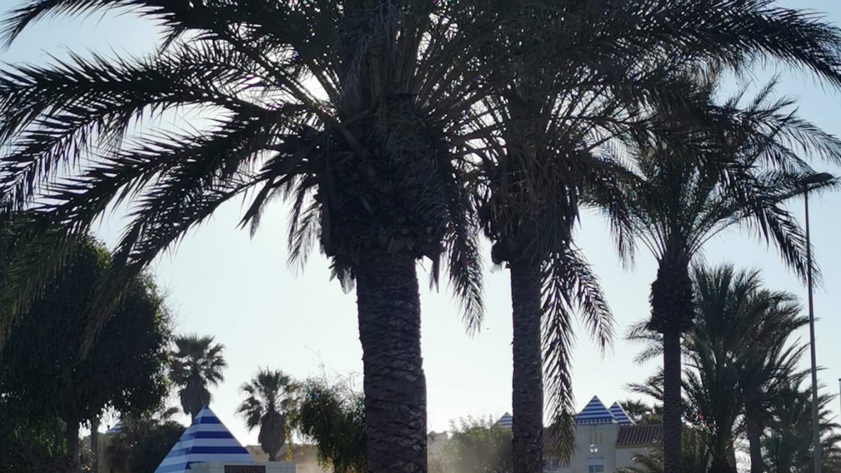 Operario fumigando en Almerimar.