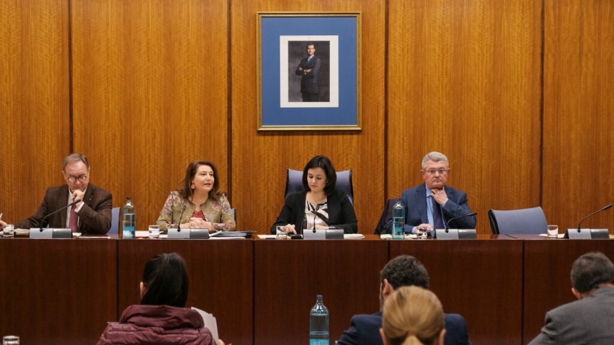 Crespo durante la comisión.