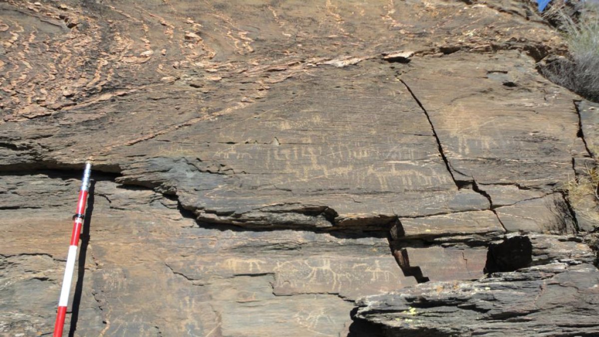 Grabados rupestres localizados por los agentes