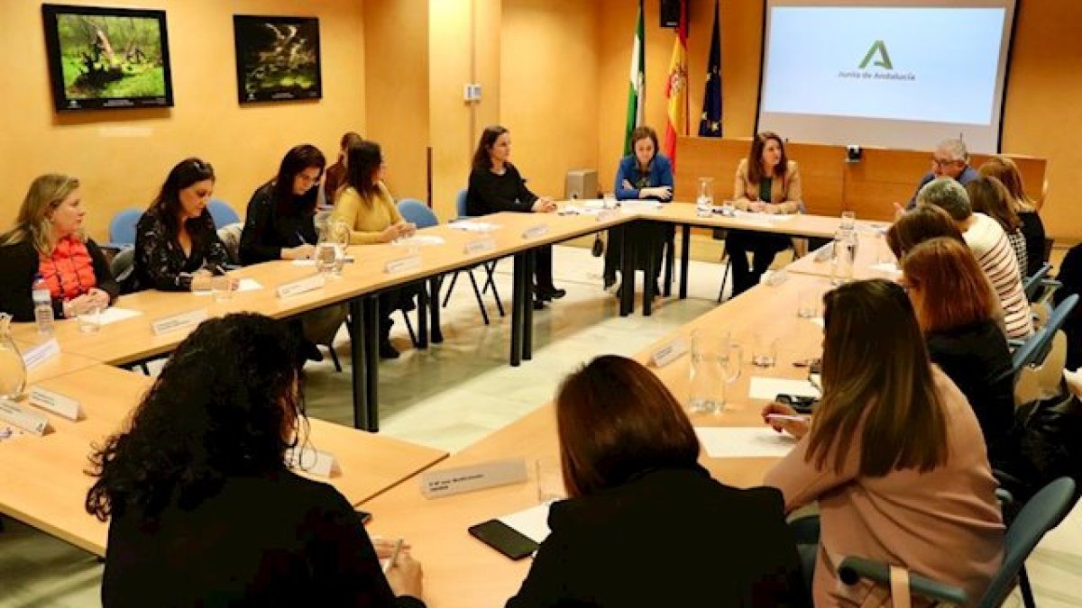 Imagen de la reunión mantenida en Sevilla.