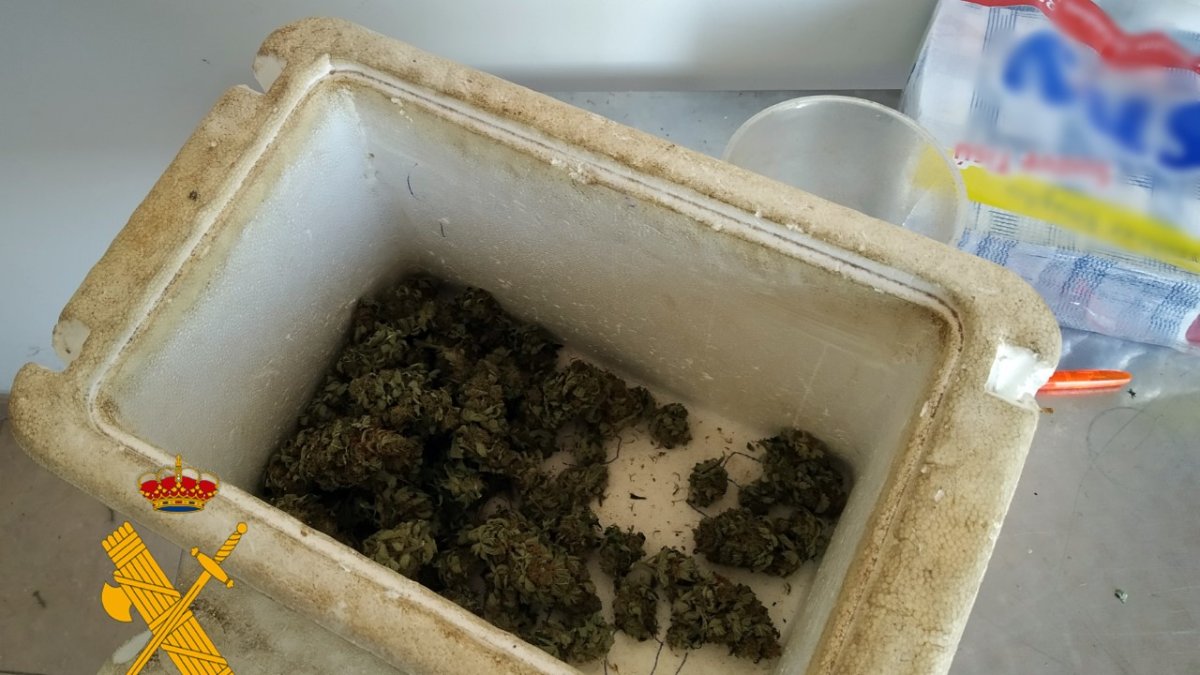 Parte de la droga incautada.