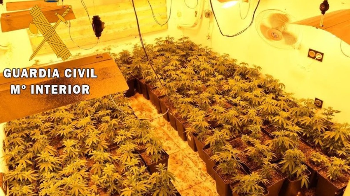 Imagen de archivo de una operación contra el tráfico de drogas.