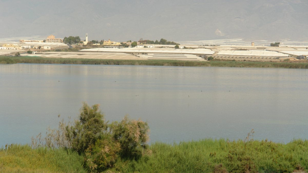 El agua es el elemento común de estos cinco humedales, pero también lo que los diferencia