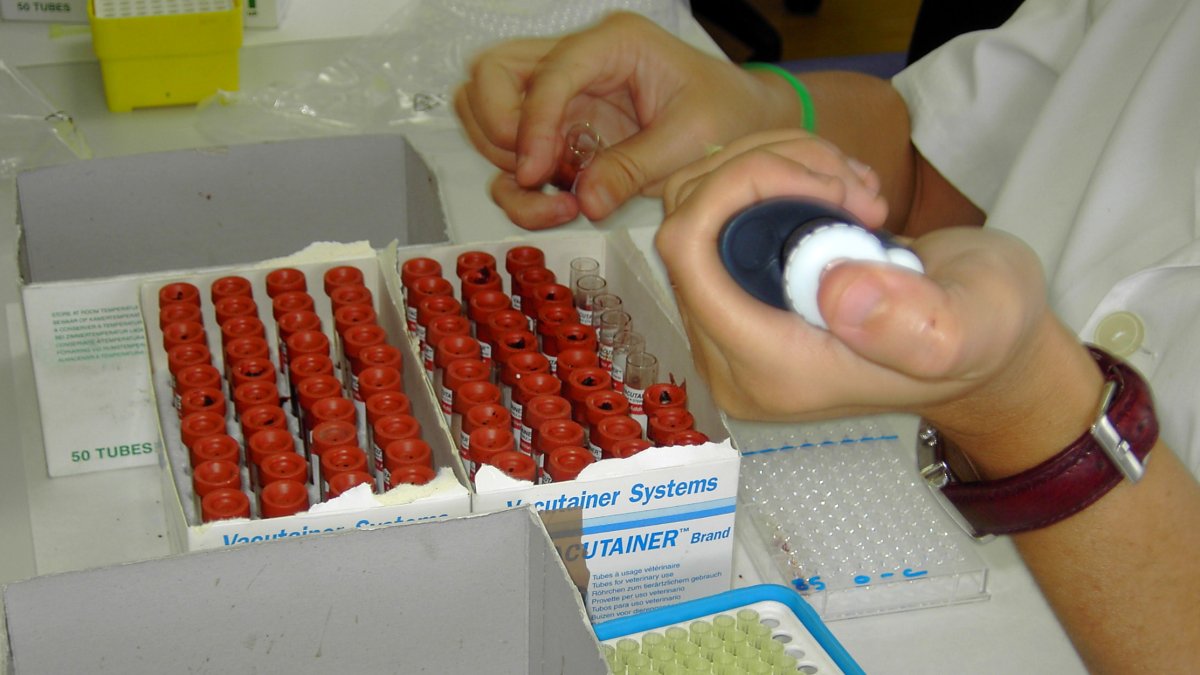 Imagen de un laboratorio de Ifapa.