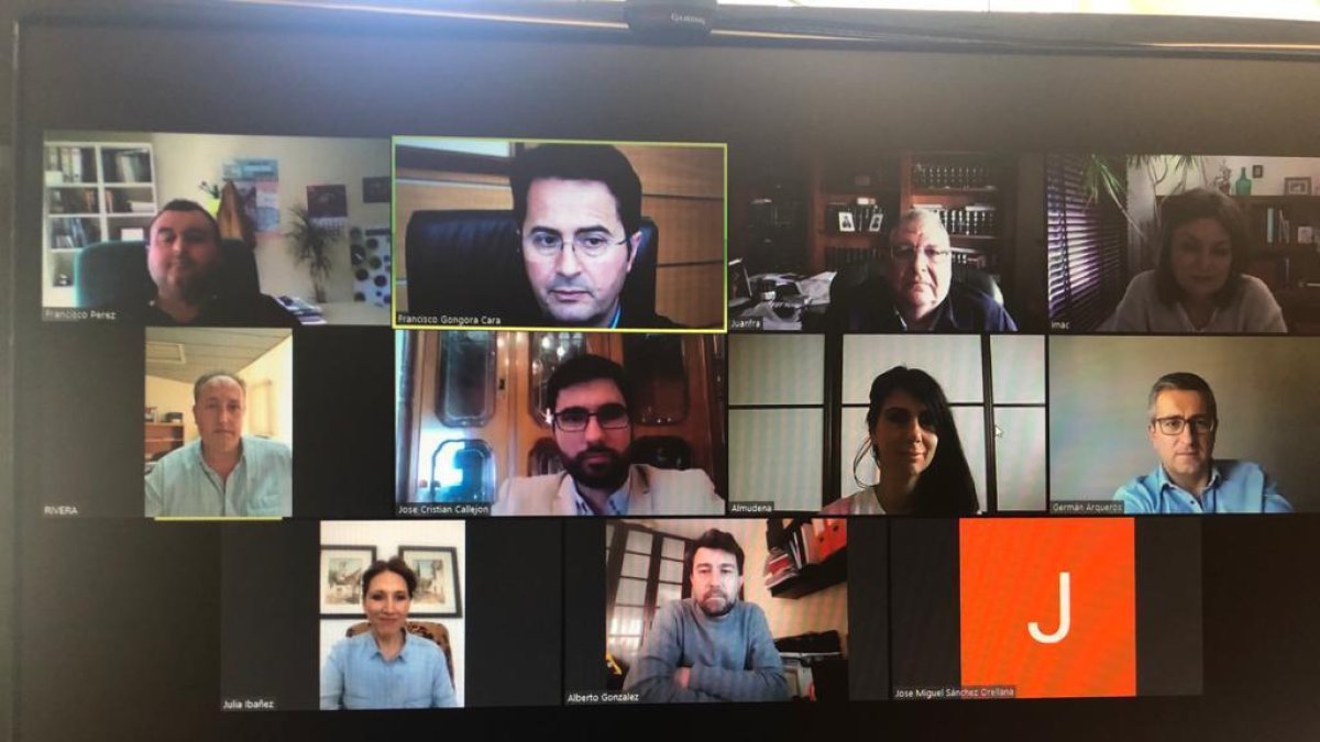 Celebración de la Junta de Gobierno de forma telemática.