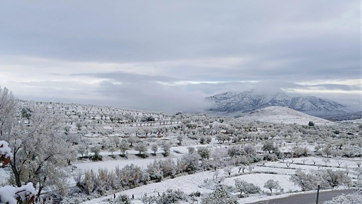 Vélez-Rubio ha sido uno de los pueblos que amanecieron cubiertos por una fina capa de nieve.