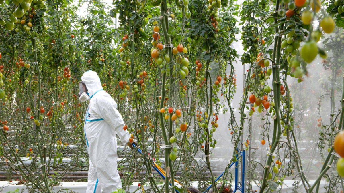 Un agricultor con su equipo de protección individual completo.