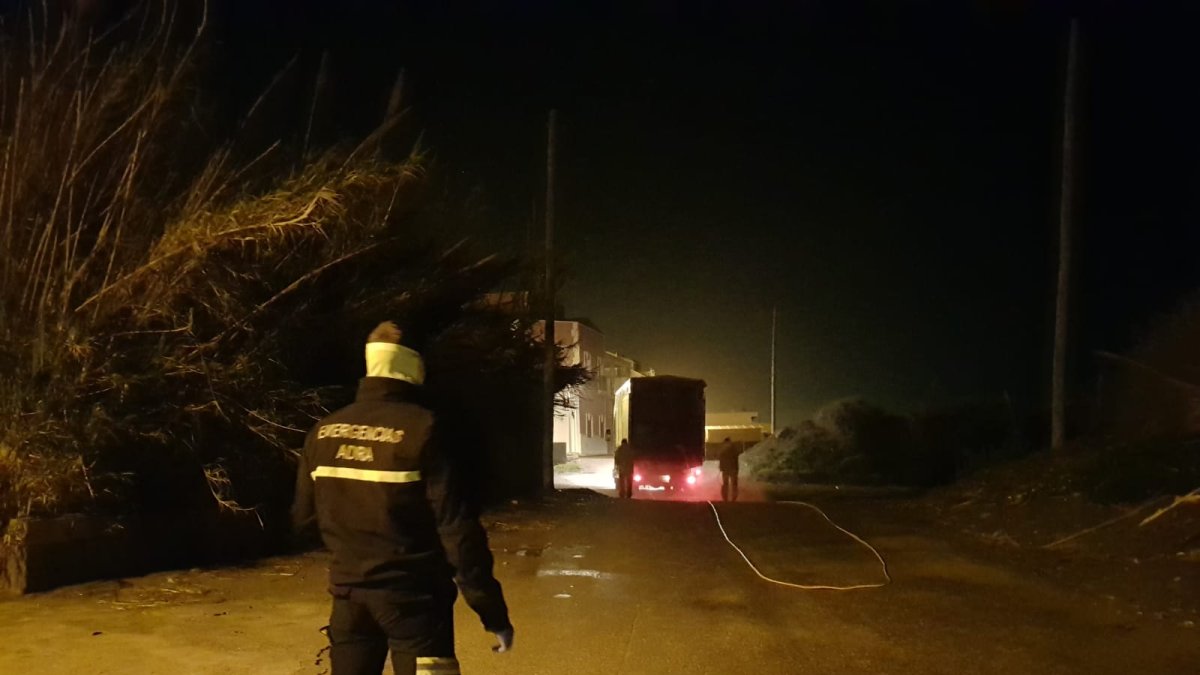 Segunda fumigación masiva en Adra.