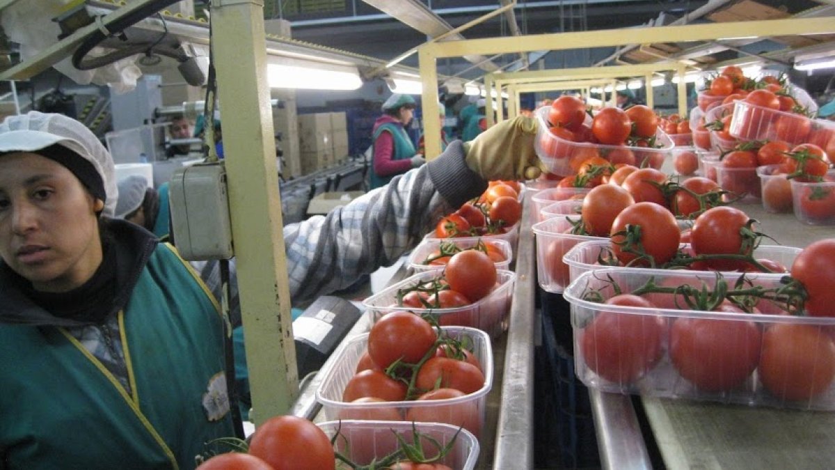 El sector hortofrutícola continúa trabajando sin descanso para dotar de alimentos a todos los hogares durante el confinamiento.