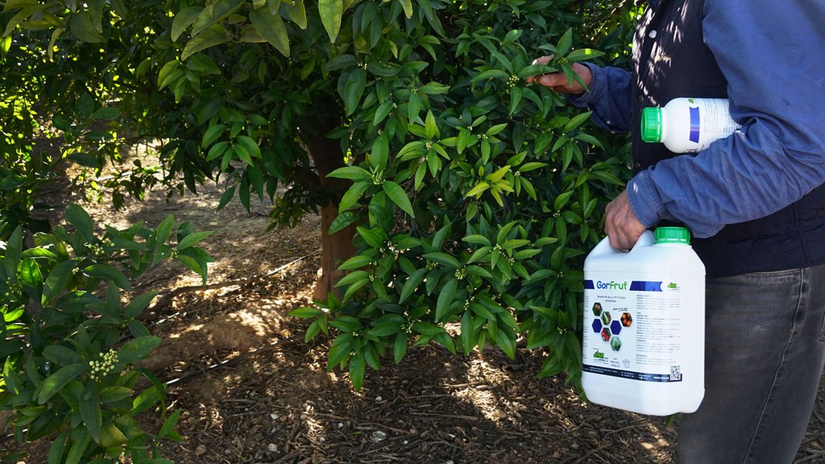Se han habilitado nuevos puntos de recogida.