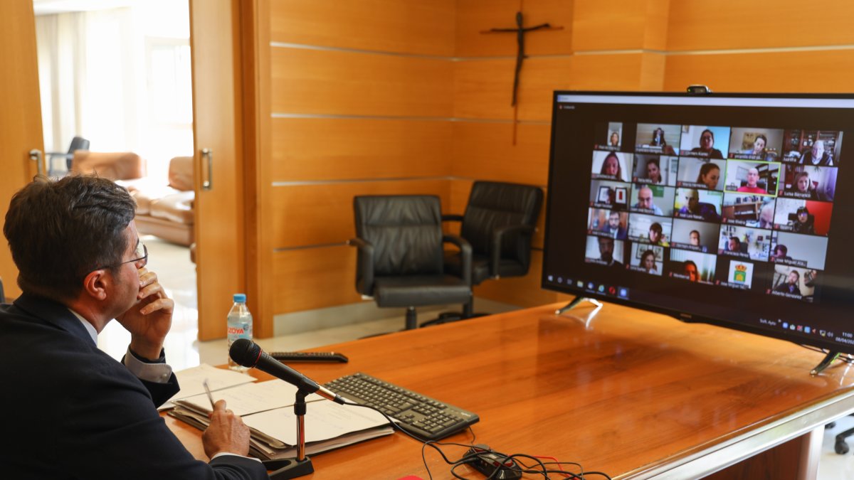 Imagen del pleno por videoconferencia.