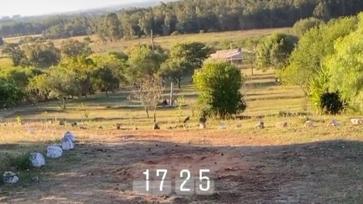 La foto que ha subido Darwin desde su parcela.