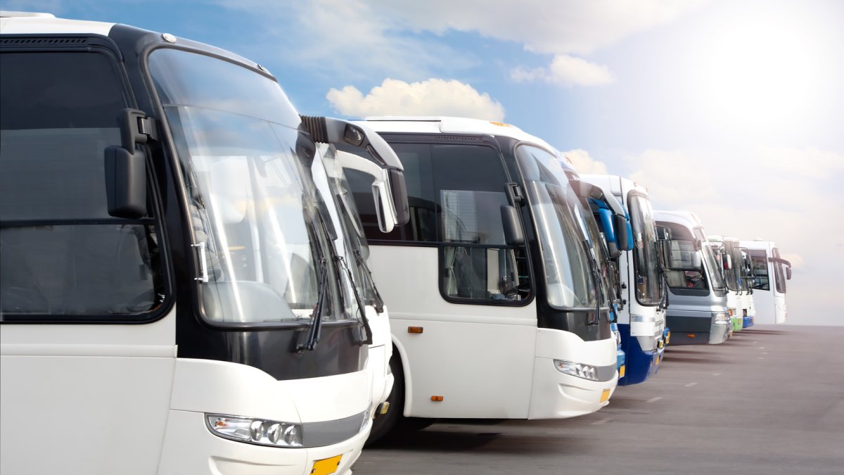 Autobuses de las asociaciones andaluzas.