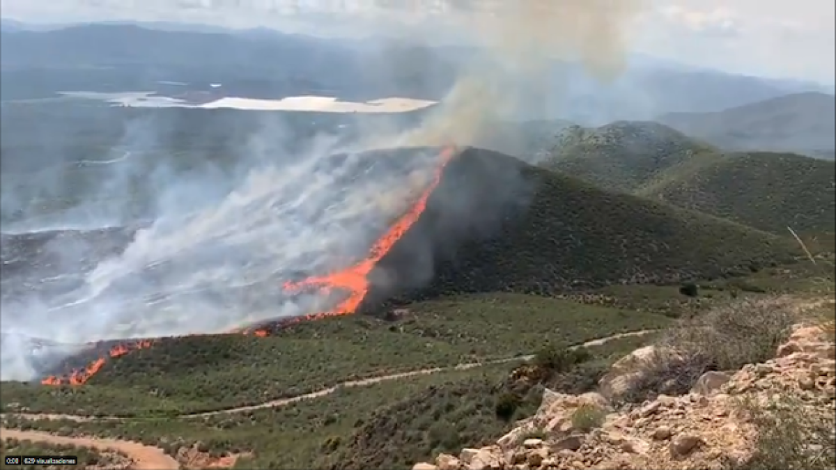 Imagen de Bomberos del Levante del incendio declarado este jueves.