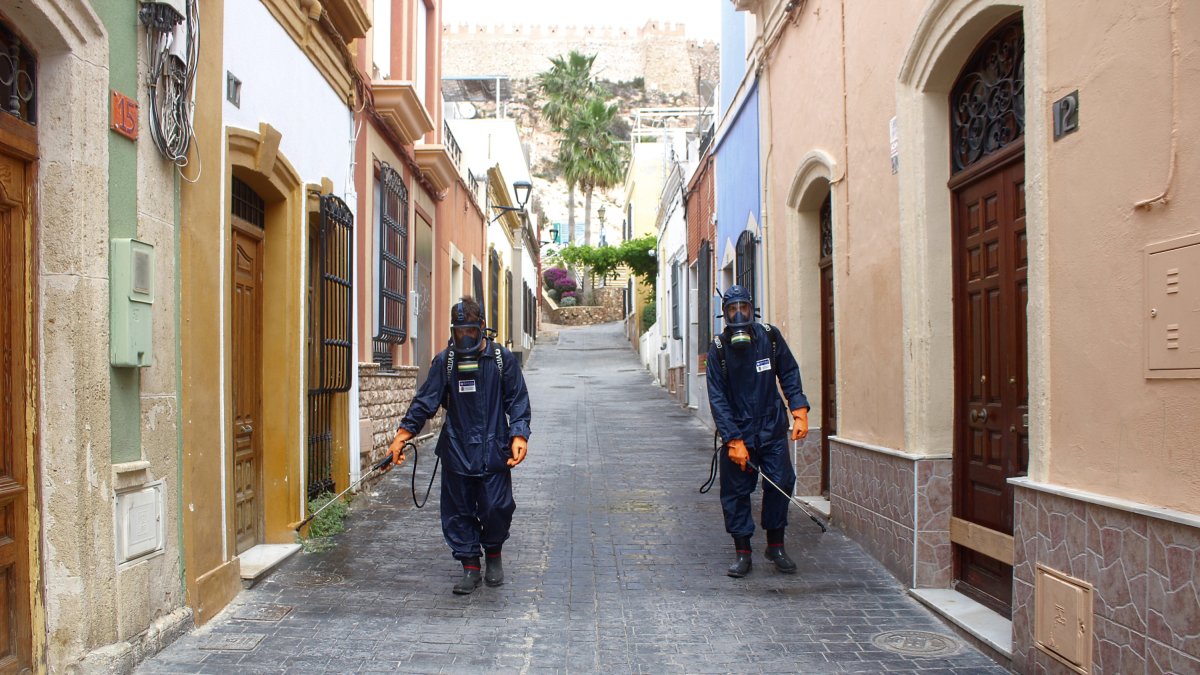 Los operarios desinfectando las calles bajo la Alcazaba
