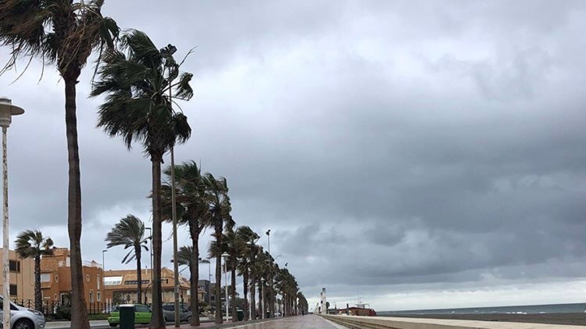 La playa de El Zapillo podrá volver a tener vida desde este domingo.