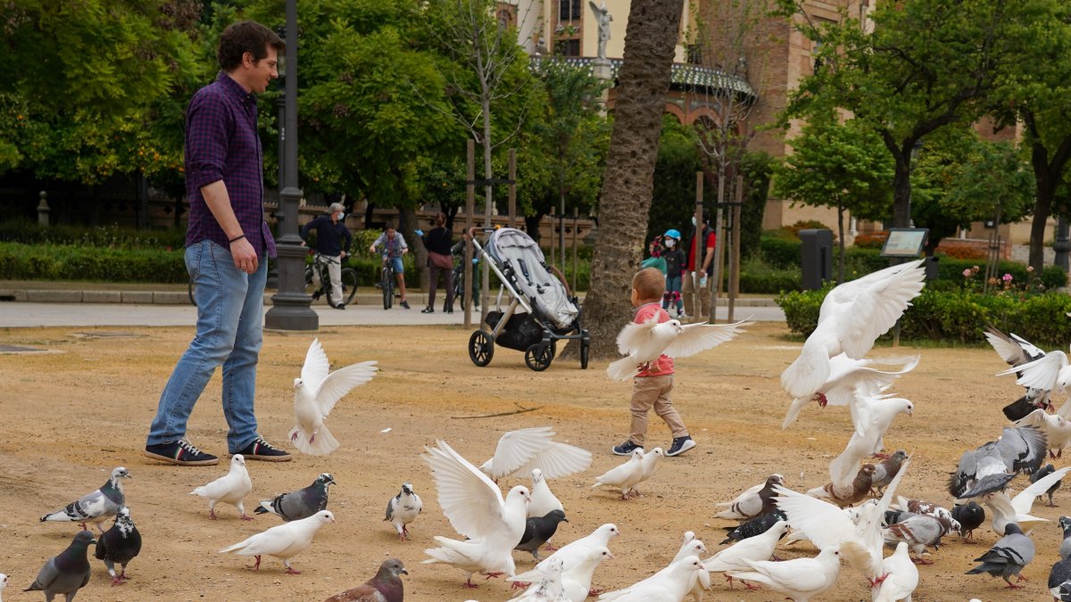 Un niño y su padre en la Plaza de América del Parque de Maria Luisa de Sevilla.