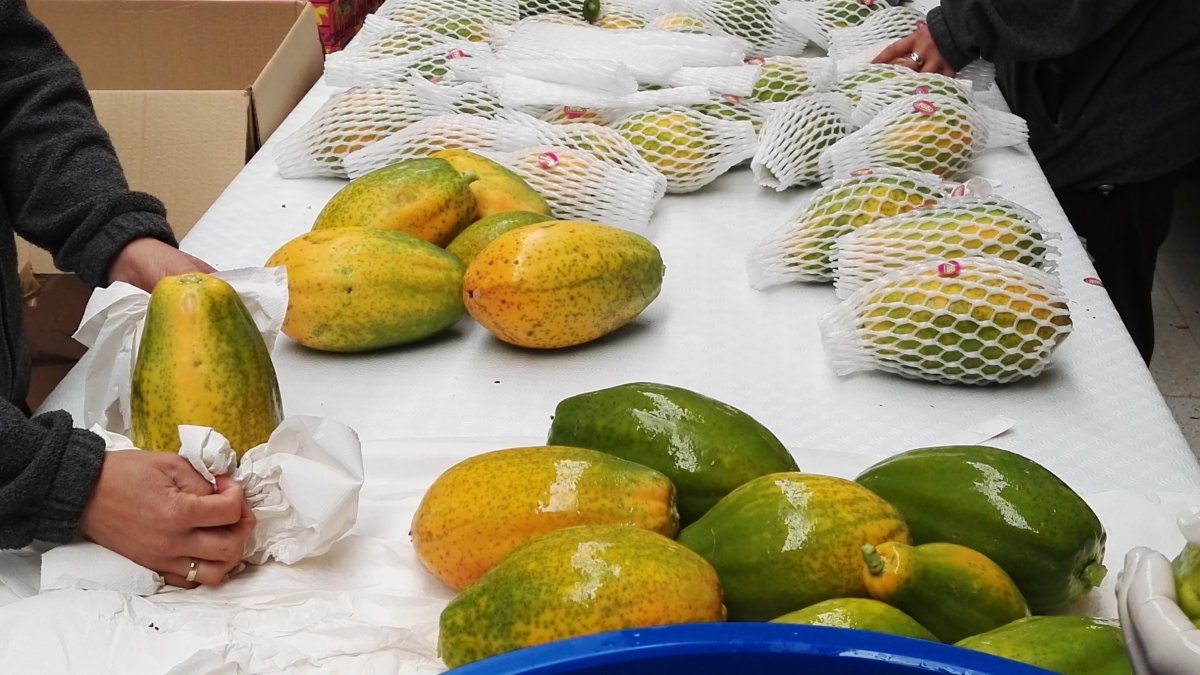 Papaya, una de las frutas que produce Las Palmerillas