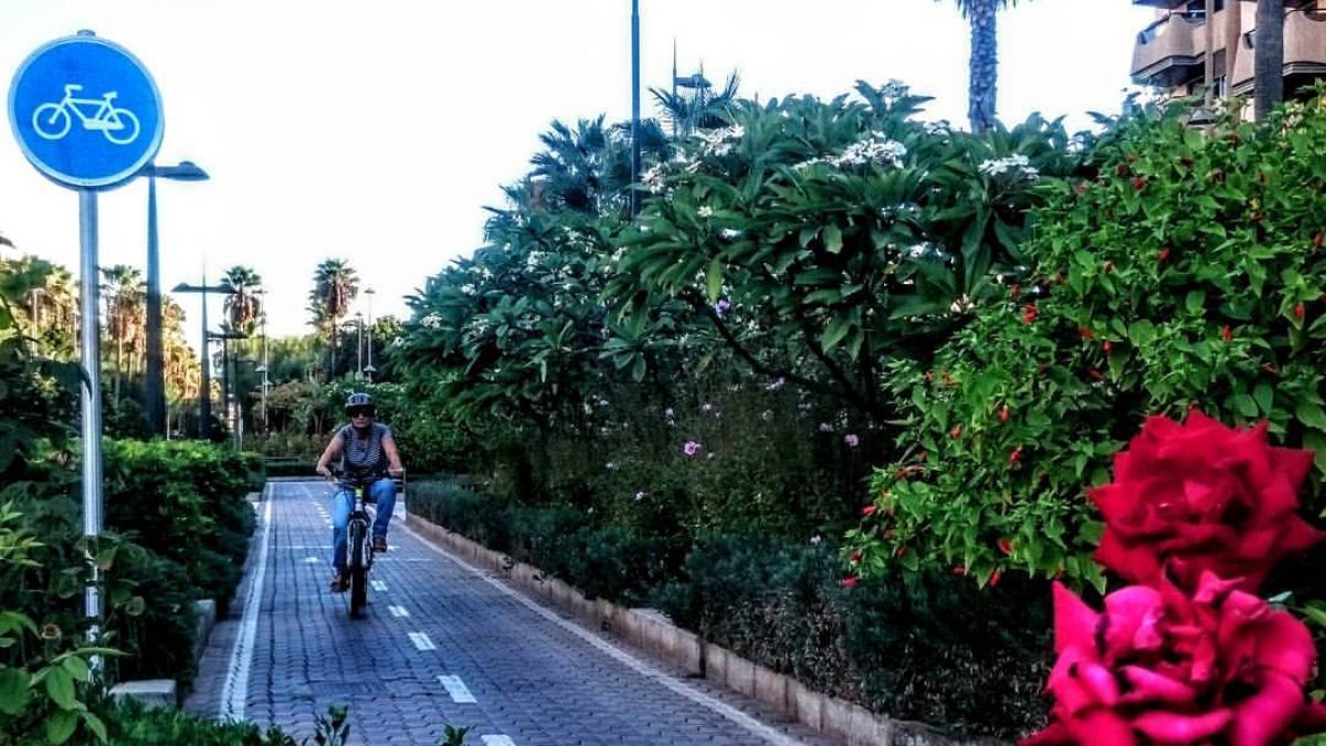 Carril bici que discurre por la Rambla de la capital