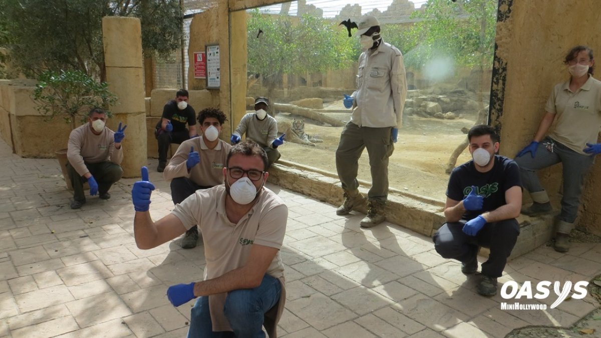 Oasys MiniHollywood Almería mantiene su actividad en cuanto a conservación y mantenimiento en época de cría
