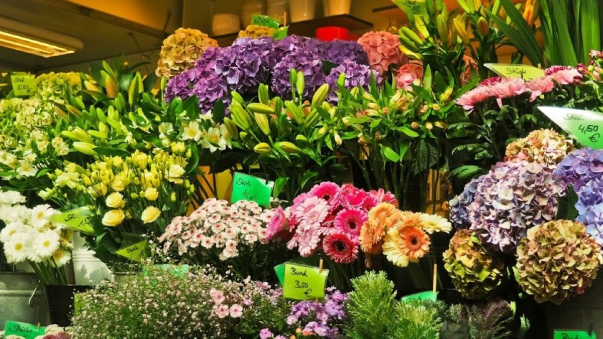 El sector aglutina a unos 1.500 productores en Andalucía.