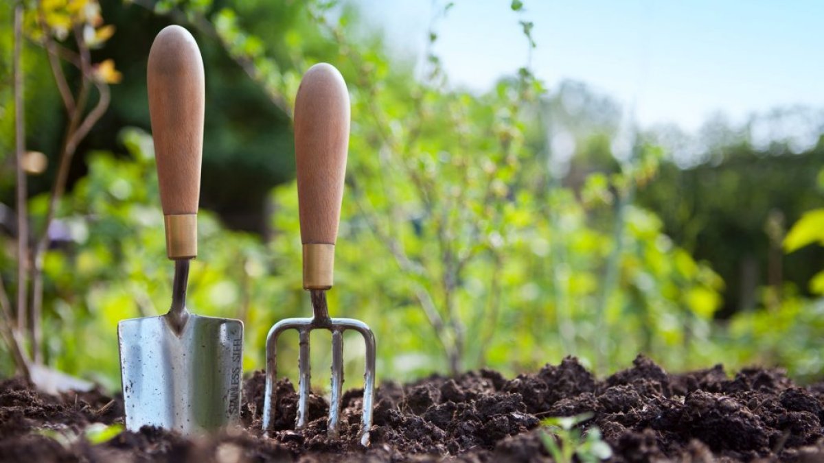 Porque ahora, como siempre, somos más cercanos y estamos a tu lado. Recuerda, somos un equipo.
