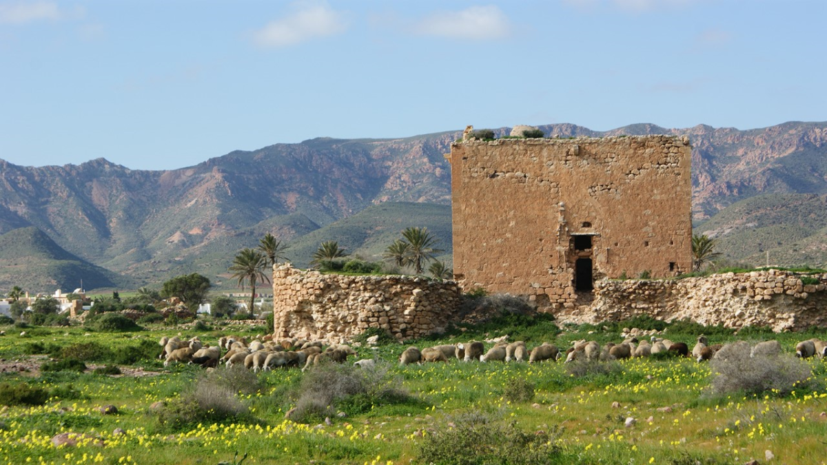 Vista de la Torre de los Alumbres, de Rodalquilar (Foto: José Gálvez).