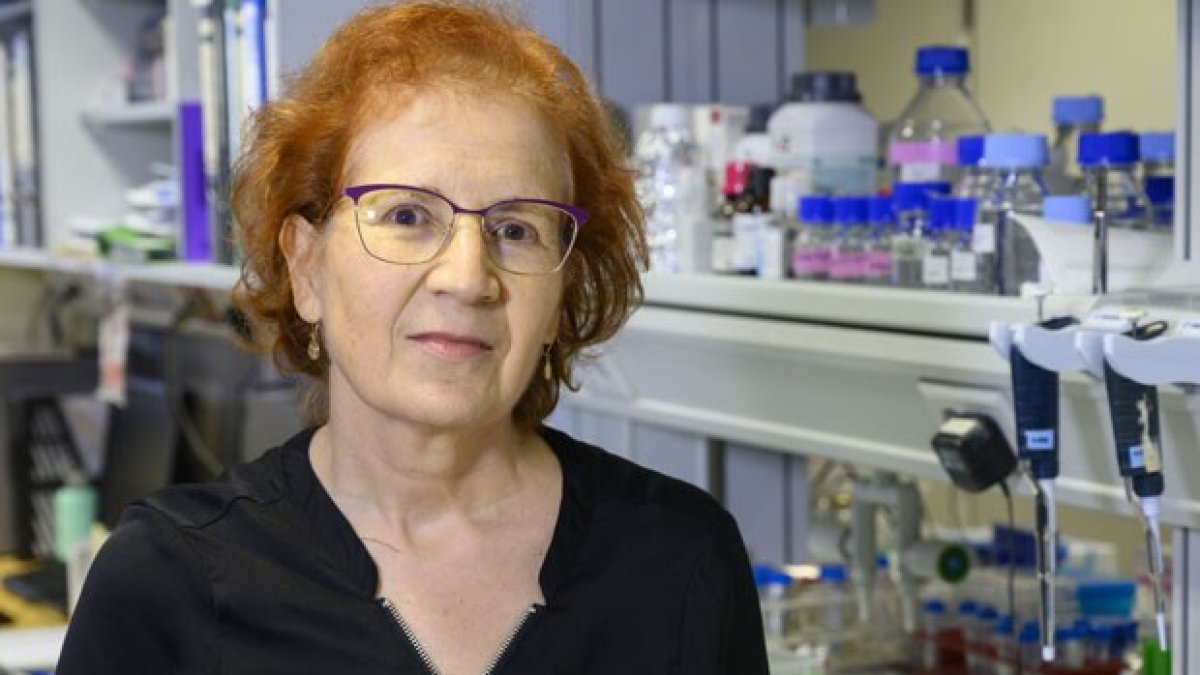 Del Val coordina 150 equipos de investigación sobre el coronavirus.