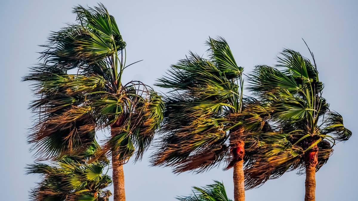 La AEMET advierte de fenómenos costeros durante prácticamente todo el día del jueves.