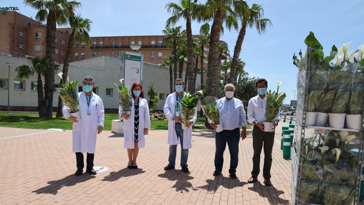 El alcalde ejidense, Francisco Góngora, ha hecho entrega de algunas de estas plantas decorativas.