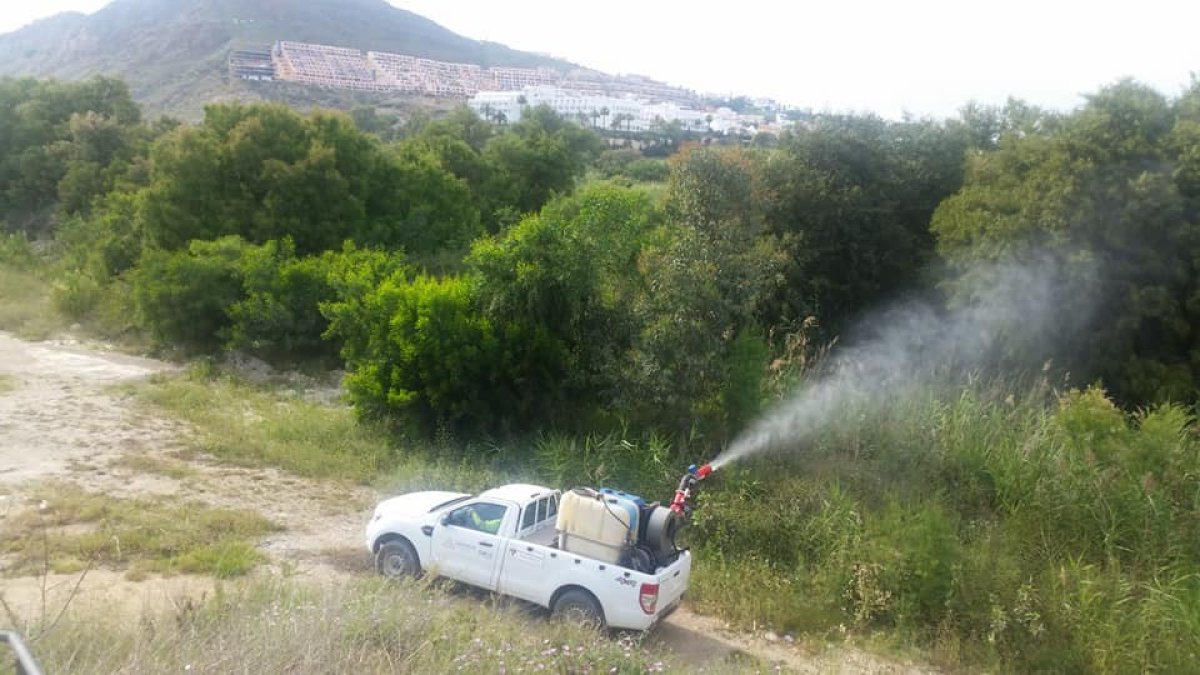 Fumigación en Mojácar.