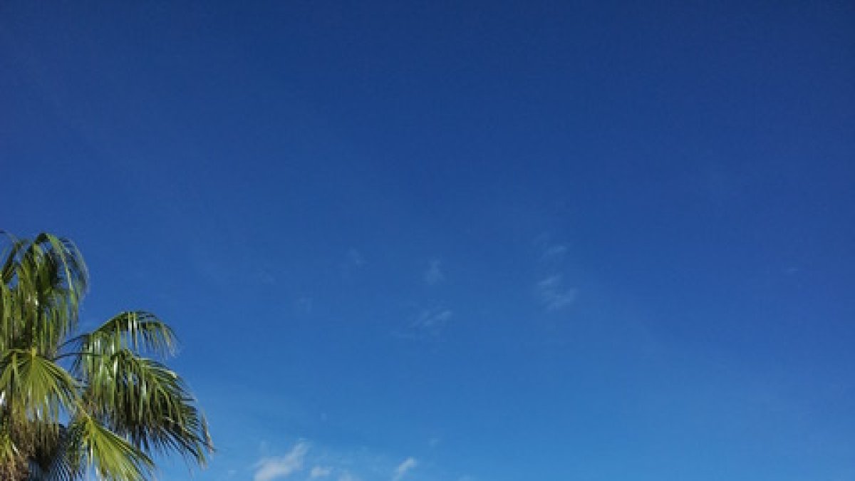 El Paseo Marítimo de Mojácar permanece abierto al público desde hace días.