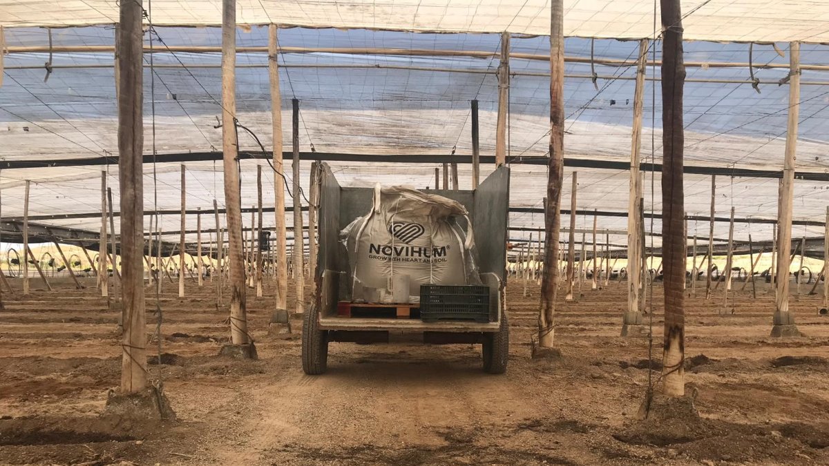 NOVIHUM, un sistema productivo eficiente.