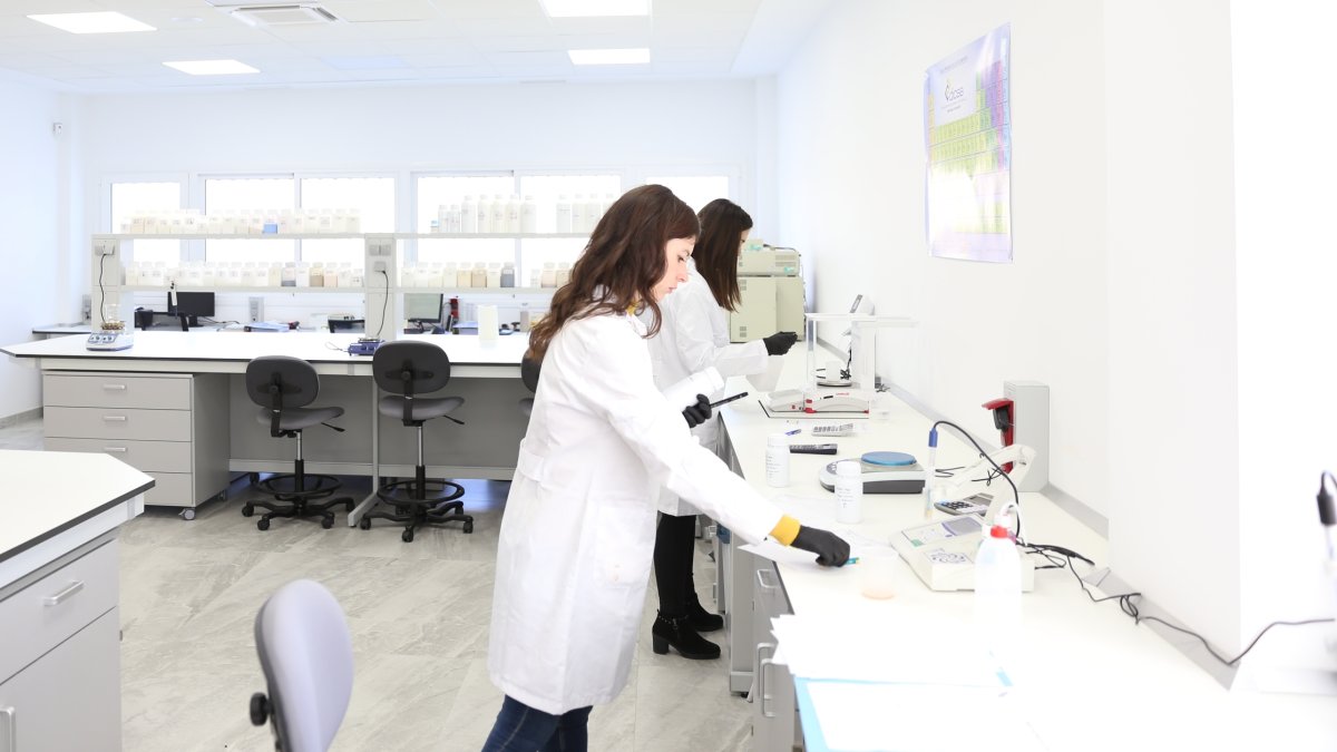 Trabajo en laboratorio de Vellsam.