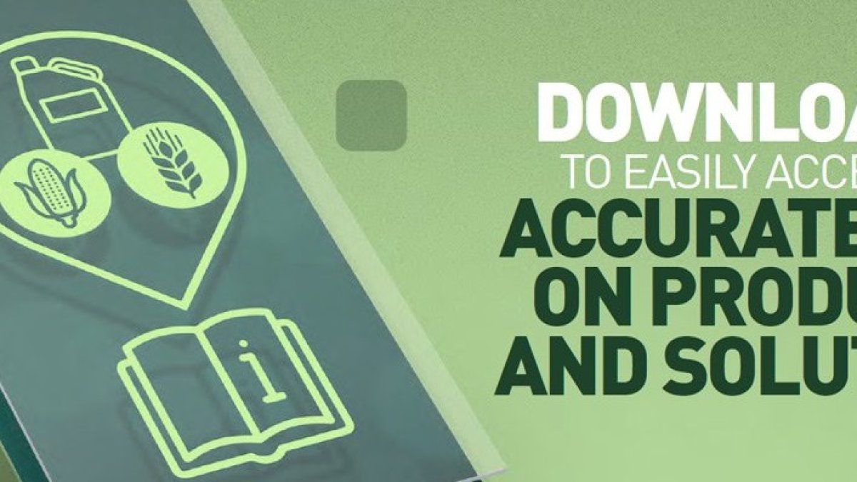 Imagen de la aplicación.